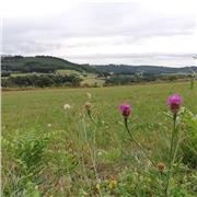 Clases particulares matemáticas, ciencias, tecnología, castellano, catalán e ingles